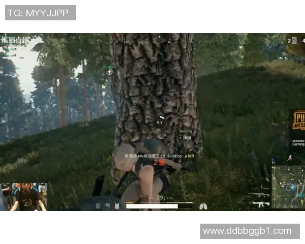 WE在国际邀请赛中的强势表现与战术分析解析